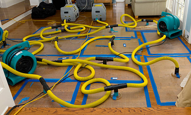 Professional Structural Drying And Dehumidification technician working in Des Moines, WA